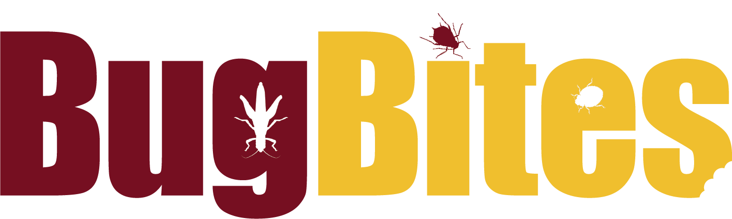 bug bites logo - maroon BUG yellow BITES