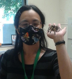 woman, long black hair, wearing a mask covering her nose and mouth, holding a tarantula in her right hand