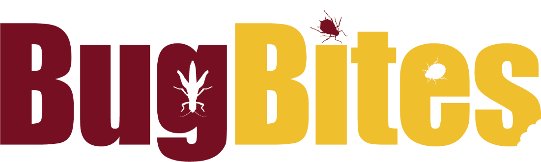 bug bites logo - maroon BUG yellow BITES