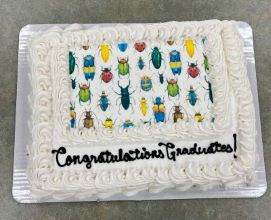 grad reception cake - rectangle cake, white frosting base, insects in the center, black writing "Congratulations graduates!" 