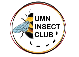 UMN Insect Club logo