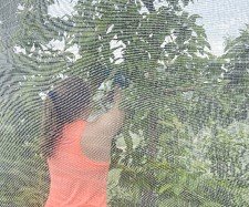 Sally-research in hail netting