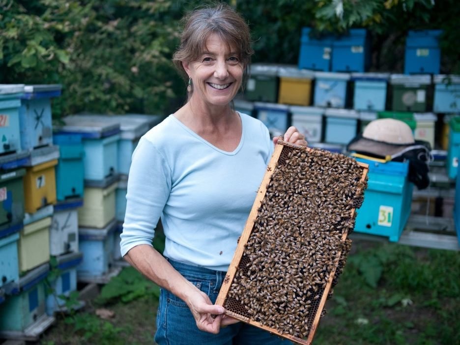 Marla Spivak holding a board of bees