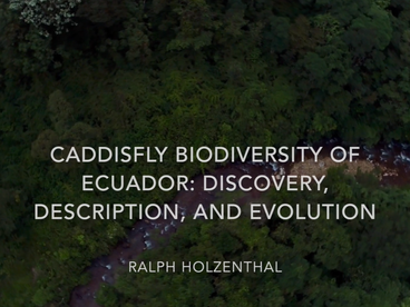 video opener for Ralph Holzenthal's research in Ecuador