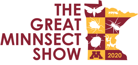 Great Minnsect Show revised logo