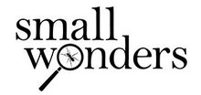 Small wonders logo